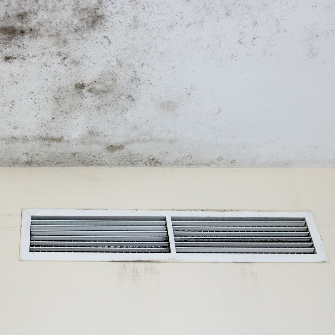 cleaning of black mold in an air conditioner 