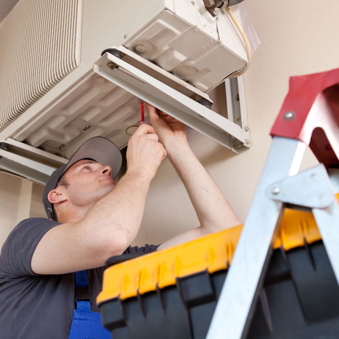 How to clean black mold in air conditioner with the help of experts 