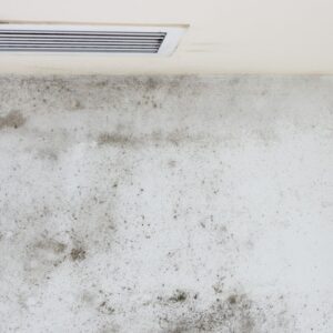 AC mold symptoms