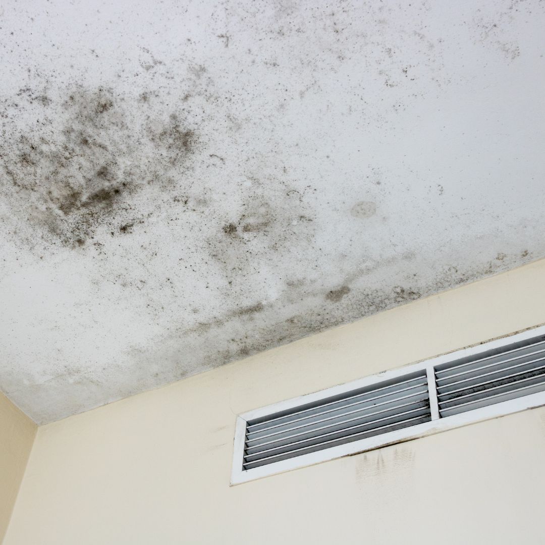 AC black mold cleaning services by Fairfax air cleaning 